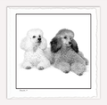 POODLES