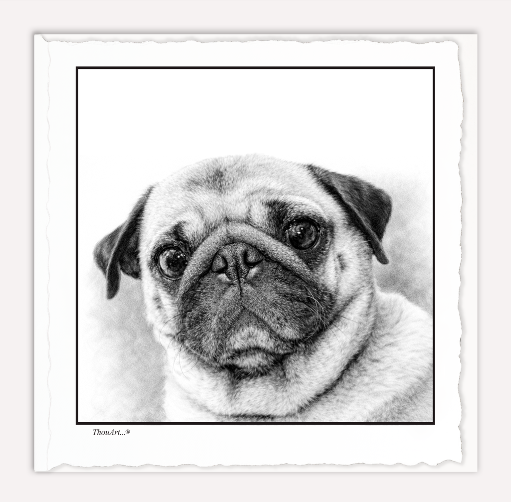 PUG