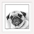 PUG
