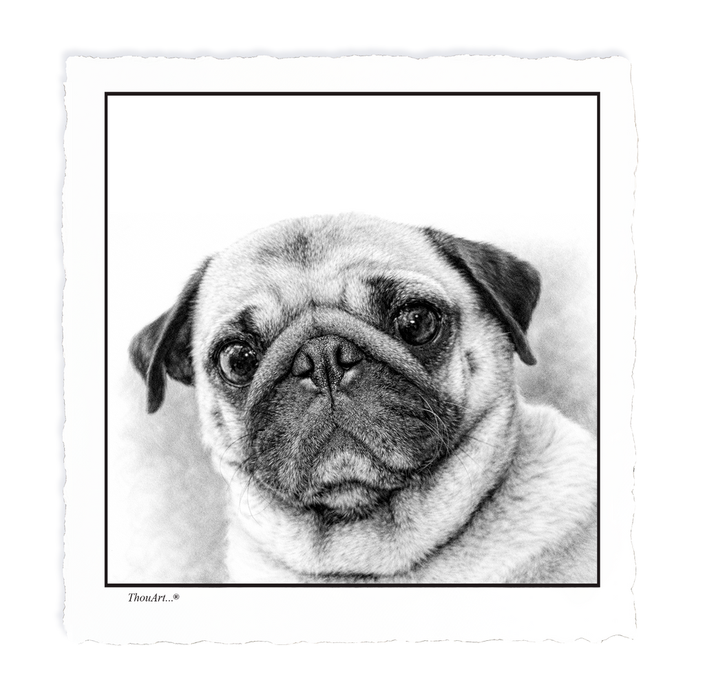 PUG