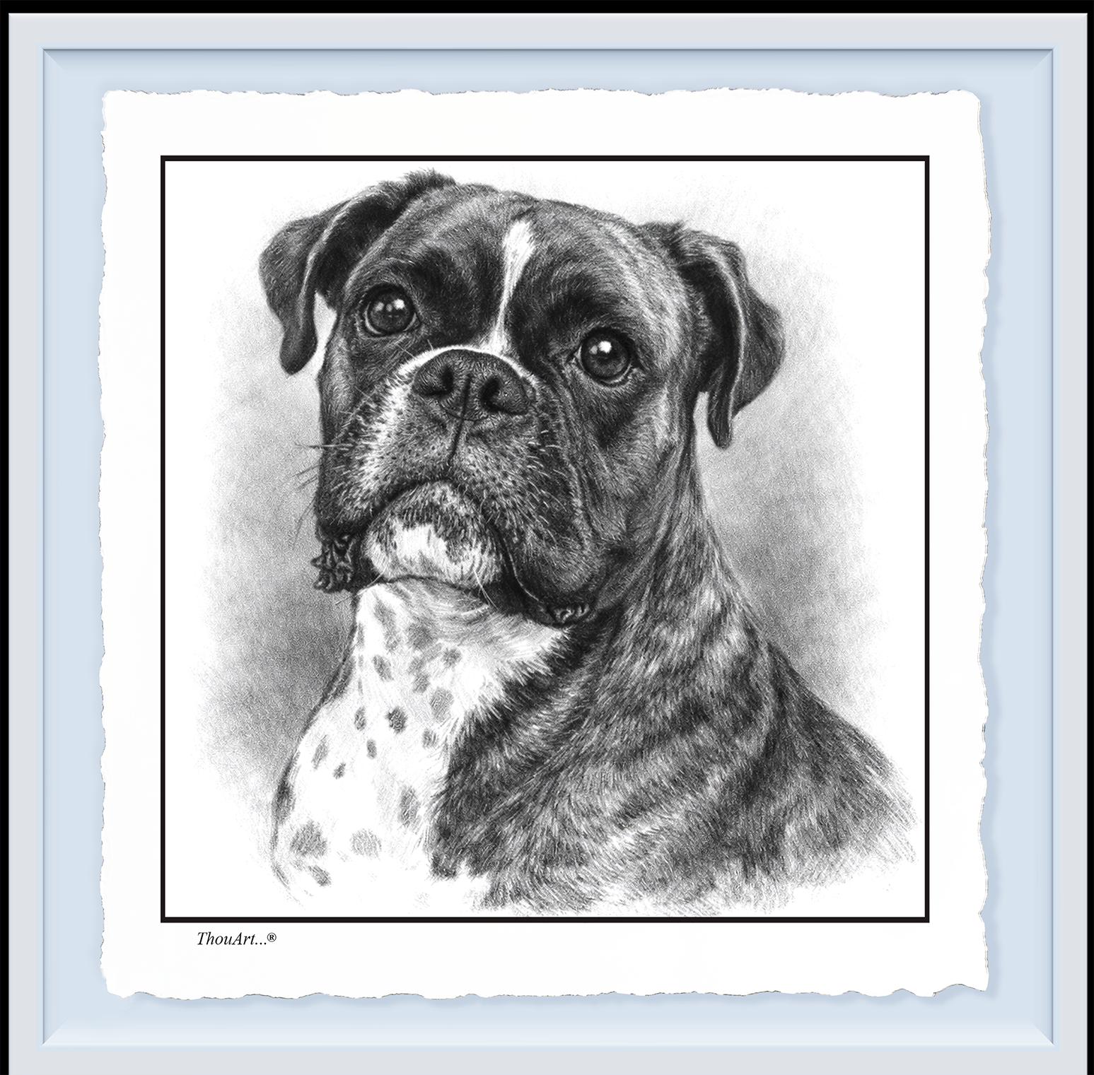 Boxer