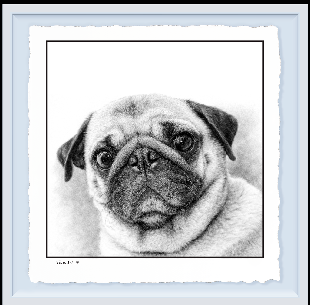 PUG