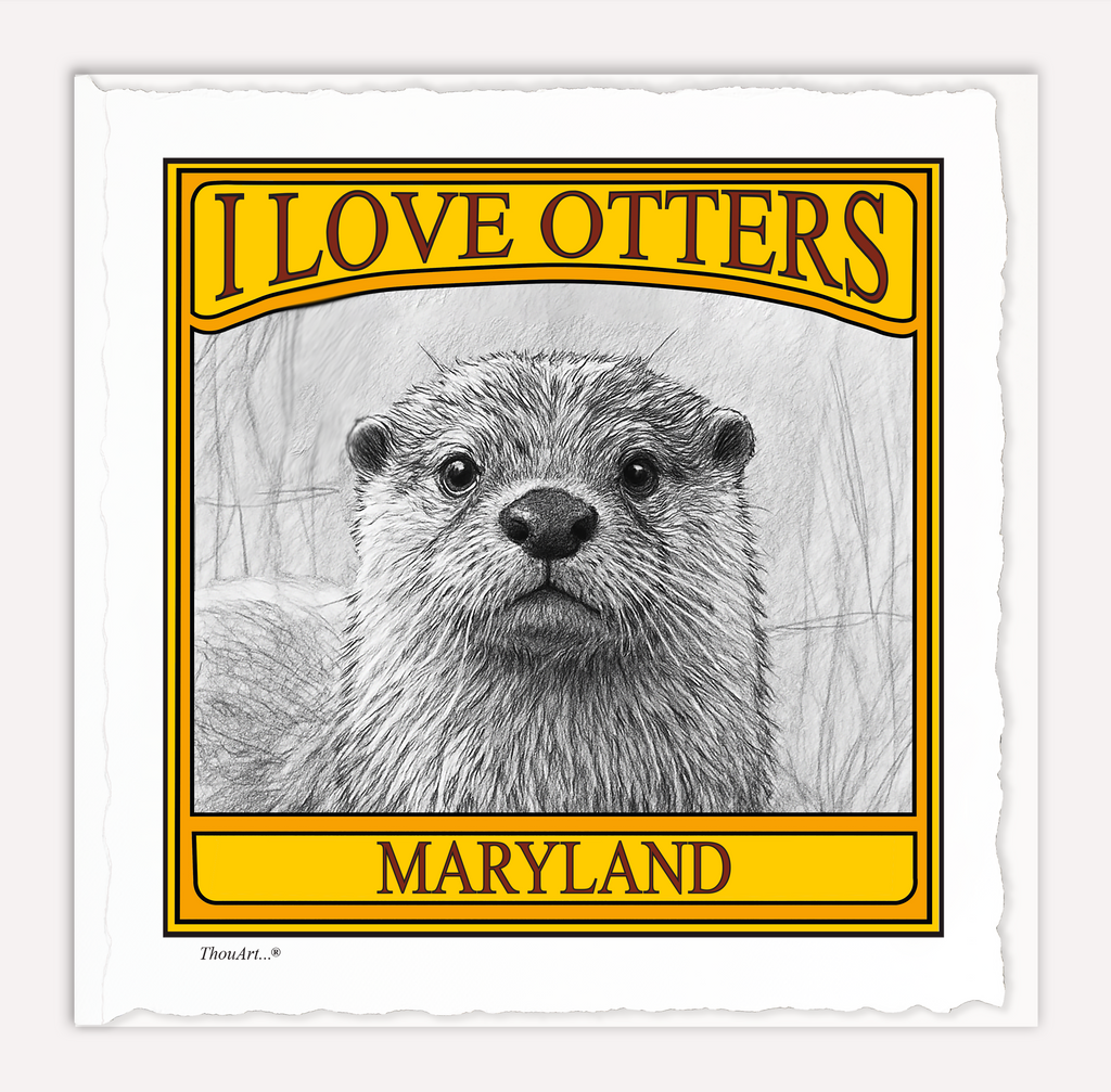 I Love Otters