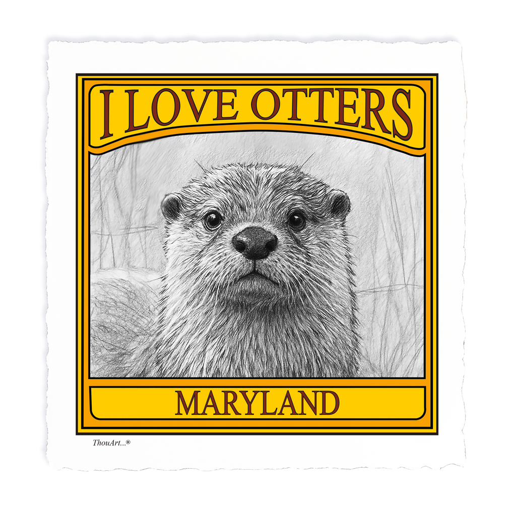 I Love Otters