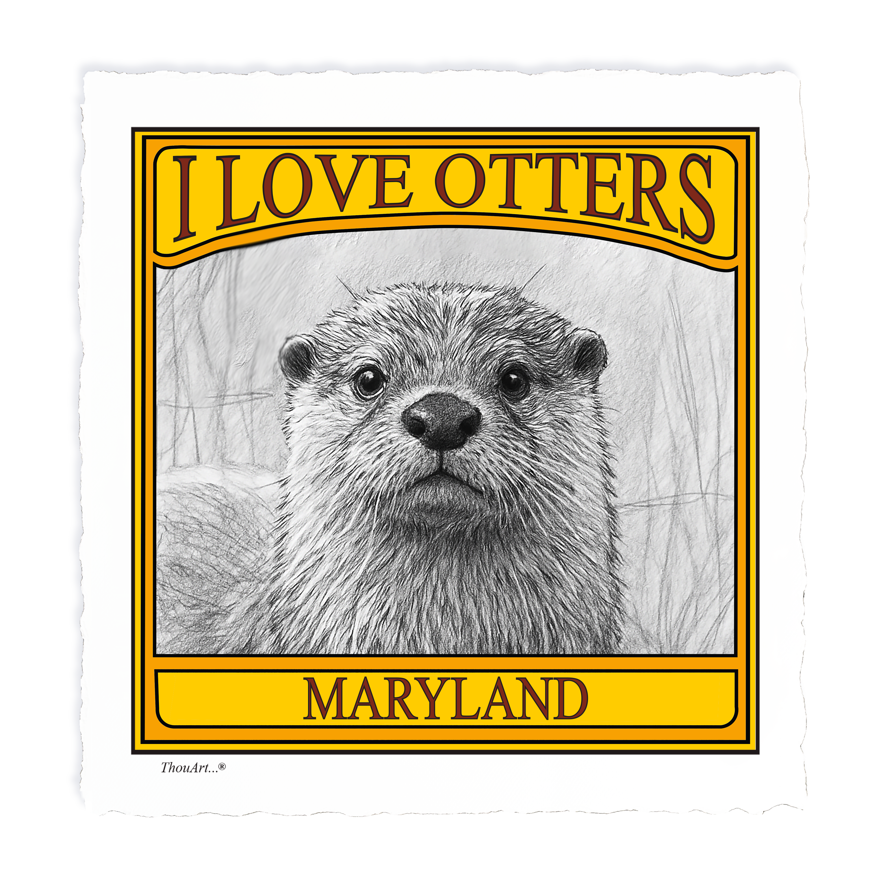 I Love Otters