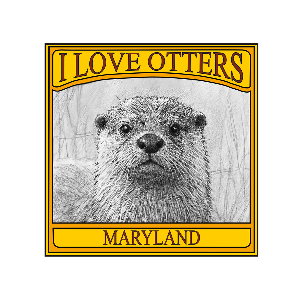 I Love Otters