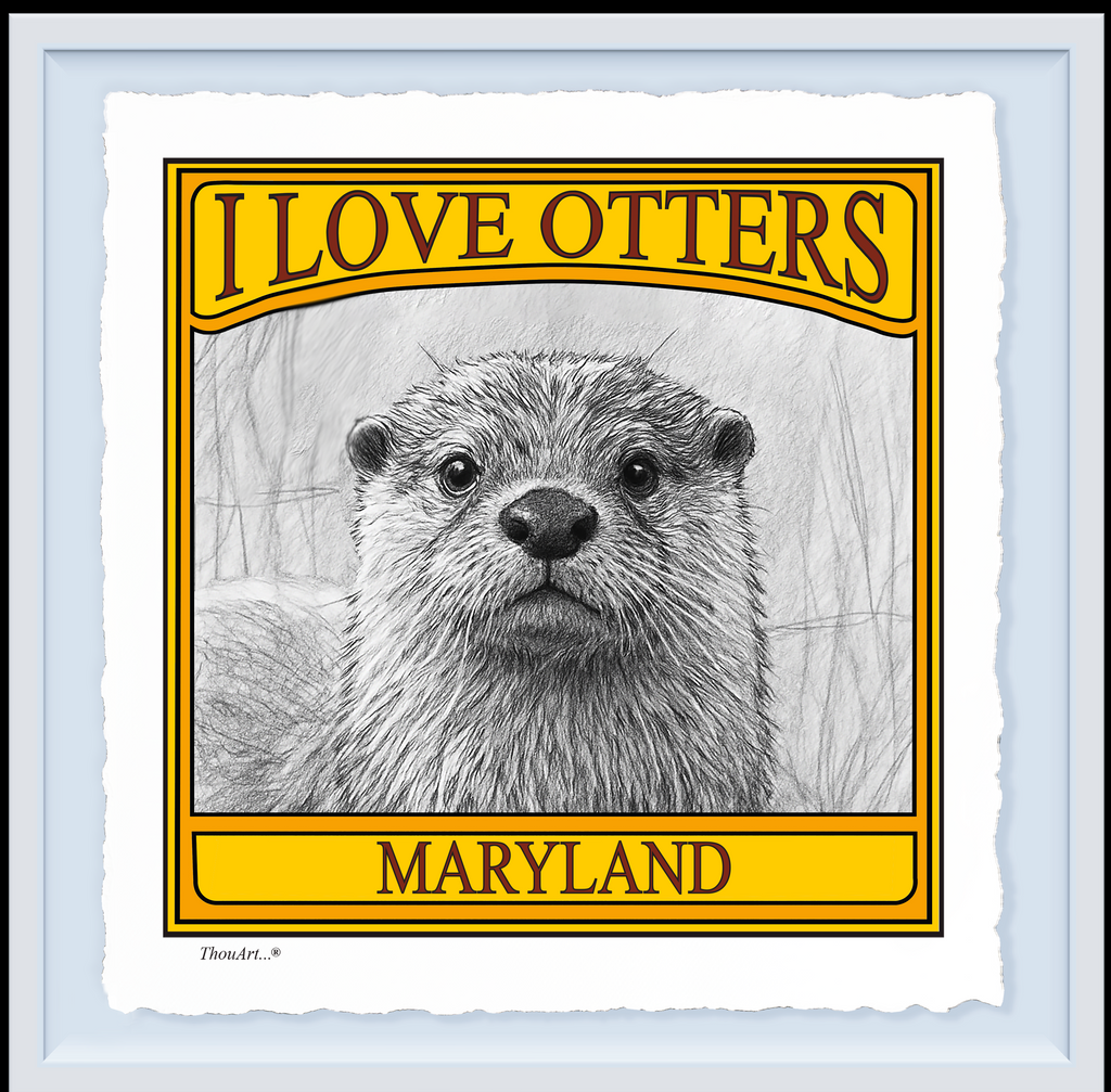 I Love Otters