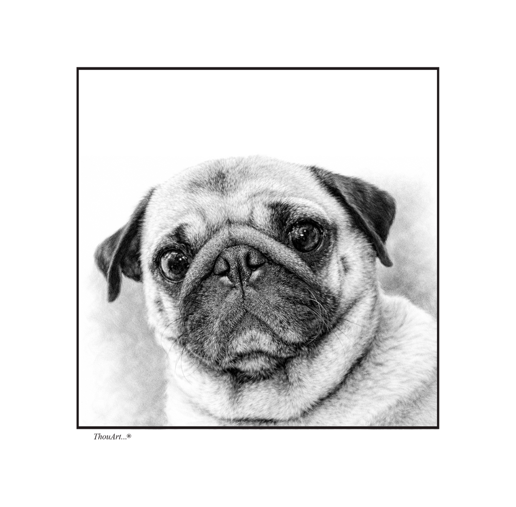PUG