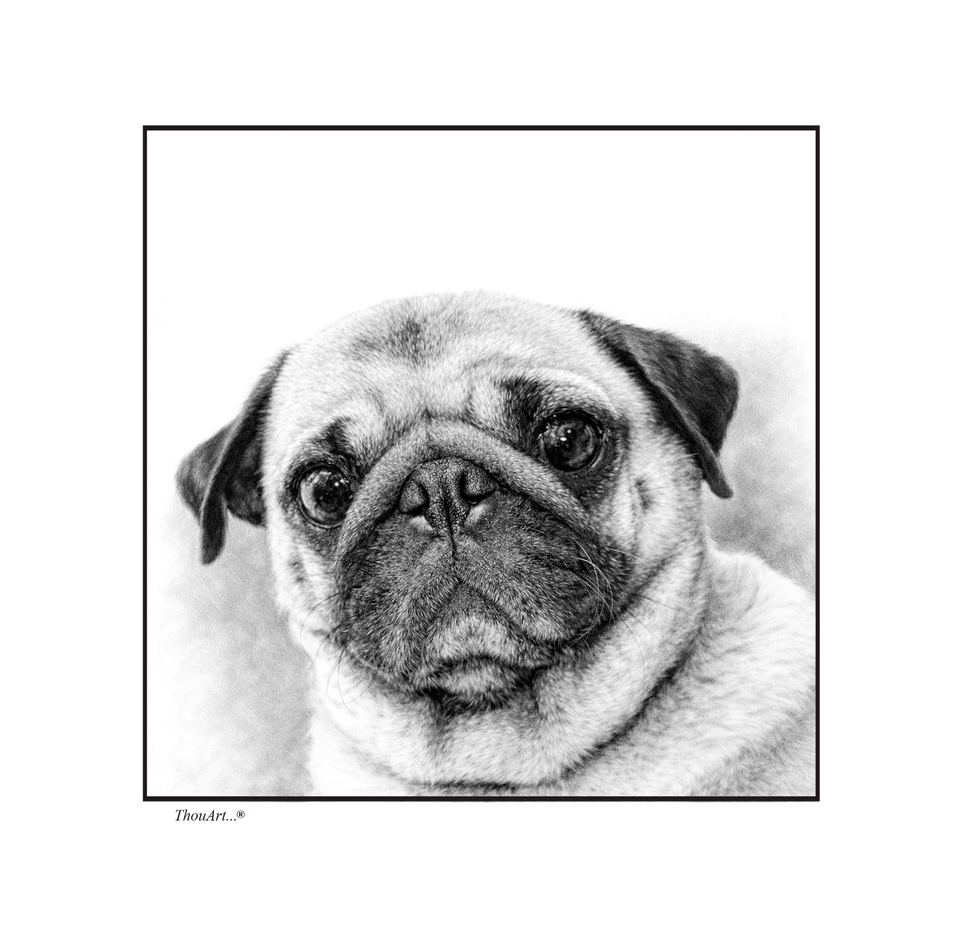 PUG